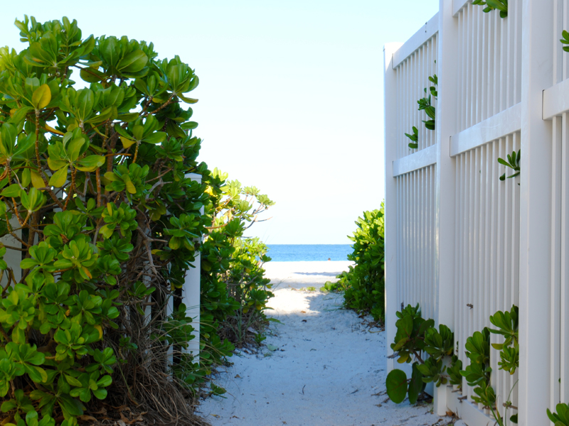 Path to Beach