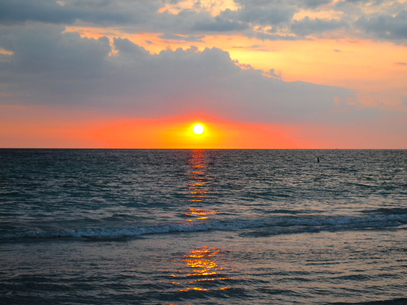 Beach Sunsets