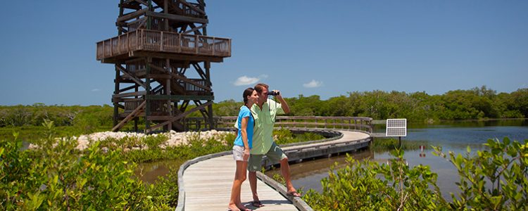 Robinson Preserve Tower in Bradenton Florida